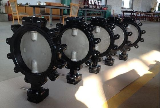 Applications pour l'eau Ventilateurs papillons AWWA Wafer Lug Disque à double bride C954 C950 C955