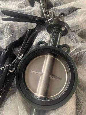 Valve à papillons à plaquette à eau DK JIS 10K 5K Corée Type avec CF8 Disque EPDM Seal