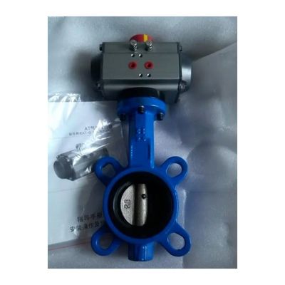 DN50 Pn16 personnalisé type de gaufre en fer ductile