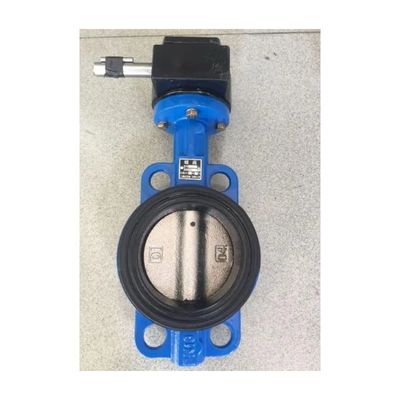 DN50 Pn16 personnalisé type de gaufre en fer ductile