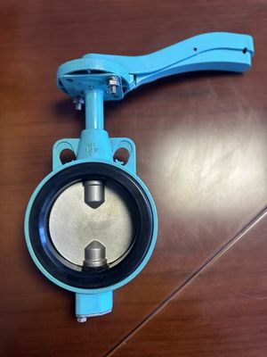 Valve papillon en acier inoxydable pour FMC Lug Type personnalisé et pris en charge par le support OEM