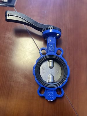 OEM Port Taille Valve de papillon d'extension en fonte avec service après-vente de soutien