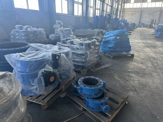 OEM Port Taille Valve de papillon d'extension en fonte avec service après-vente de soutien