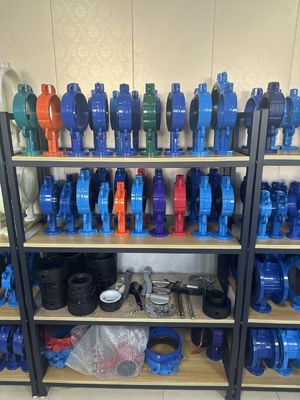 OEM Port Taille Valve de papillon d'extension en fonte avec service après-vente de soutien