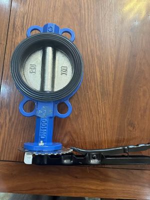 OEM Port Taille Valve de papillon d'extension en fonte avec service après-vente de soutien