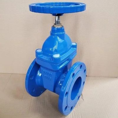 Valve de serrure de porte à bride de type Y Valve de serrure à doublure pour structure CI/DI/WCB/SS