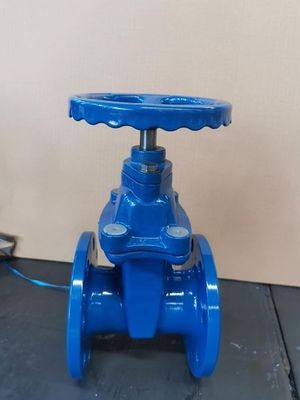 Valve de serrure de porte à bride de type Y Valve de serrure à doublure pour structure CI/DI/WCB/SS
