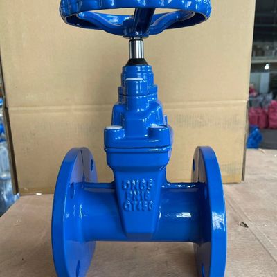 Valve de serrure de porte à bride de type Y Valve de serrure à doublure pour structure CI/DI/WCB/SS