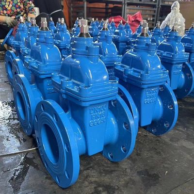 Appui OEM CI/DI/WCB/SS Valve de porte forgée verrouillable avec conception personnalisée