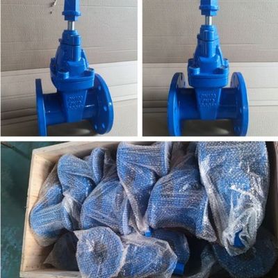 18 pouces soupape de porte pneumatique avec taille de port personnalisée et résistance à la corrosion