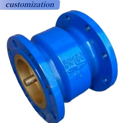 Valve de vérification de balancement en acier inoxydable ductile en fer à globe pour les solutions de traitement des gaz