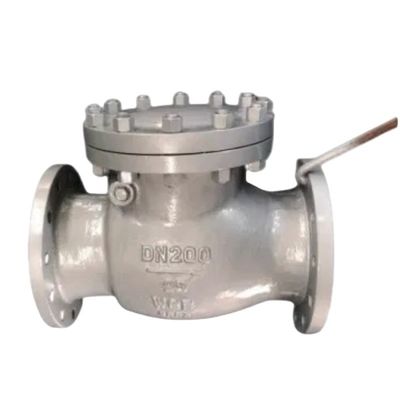 Support ODM porte à disque unique à flèche de type balançoire soupape de vérification soupape de vidange Certificat CE