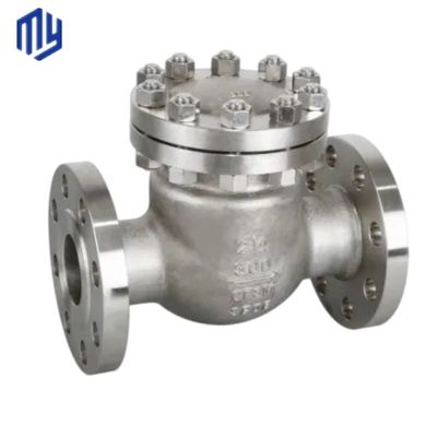 Support ODM porte à disque unique à flèche de type balançoire soupape de vérification soupape de vidange Certificat CE