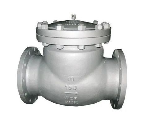 CI/DI/WCB/SS DN250 PN16 Ventilateur de contrôle de balancement de fin de bride avec port personnalisable