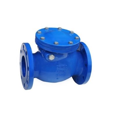 Type Y DN200 Ventilateur de vérification de balancement de fin de bride PN16 pour le support de la personnalisation OBM personnalisée