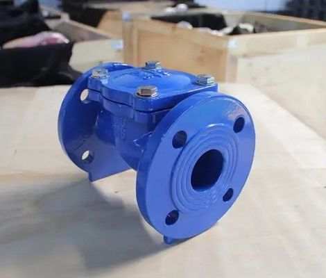 Service personnalisé 2 pouces 3 pouces 4 pouces de fer ductile ANSI flange soupape de contrôle de disque en caoutchouc