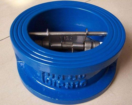 Valve d'entrée en acier inoxydable à support d'eau avec disque PTFE OEM ODM et CF8 CF8M SS304 SS316 WCB