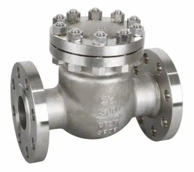 4 pouces CF8 WCB en acier au carbone Flange Swing Check Valve Certificat complet et manuel