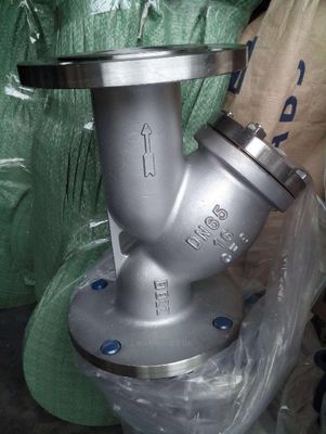Corps SS personnalisé DIN AWWA Flanges en fer forgé Y Filtre type Y Filtre à eau