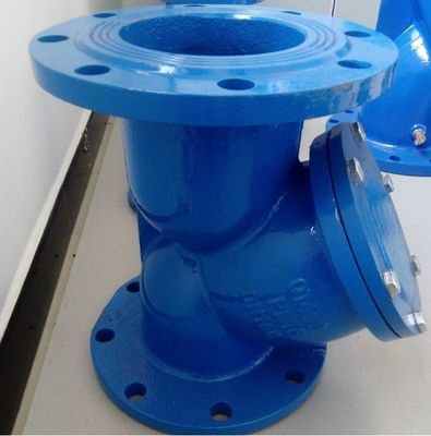Corps SS personnalisé DIN AWWA Flanges en fer forgé Y Filtre type Y Filtre à eau