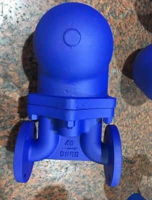 Valve de piégeage à vapeur inversée durable avec support OBM personnalisé et corps en fer ductile