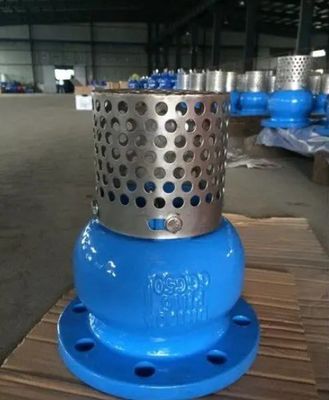Service personnalisé WCB soupape de pied à extrémité en fonte pour un contrôle durable et fluide