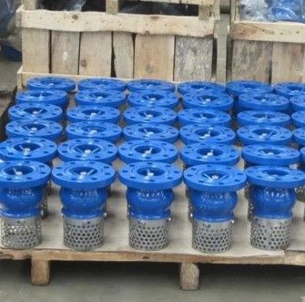 Service personnalisé WCB soupape de pied à extrémité en fonte pour un contrôle durable et fluide