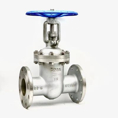 Porte en acier inoxydable à spécifications personnalisées et standard